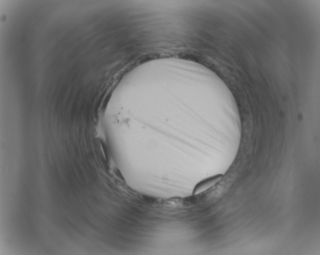 X0000067910768200605111942