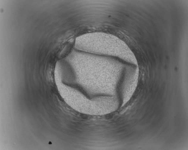 X0000067910770200605111942