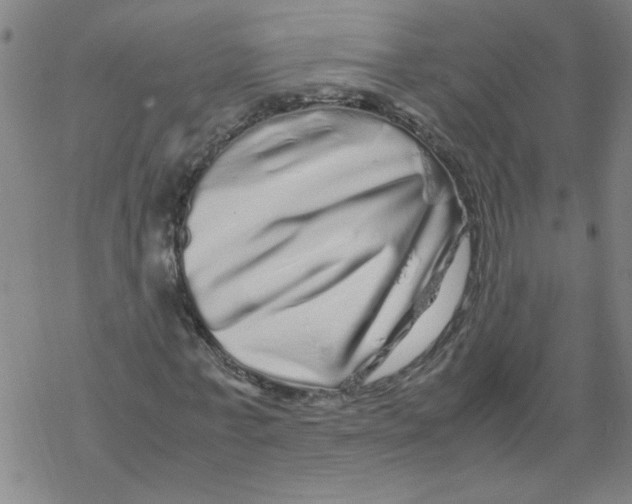 X0000067910771200605111942