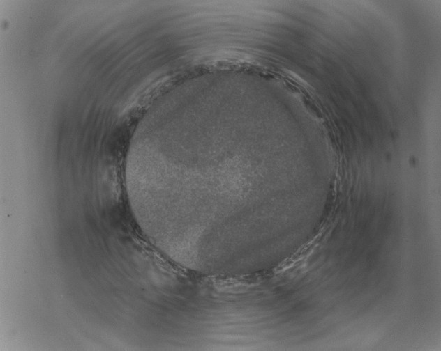 X0000067910774200605111942