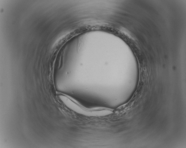 X0000067910775200605111942