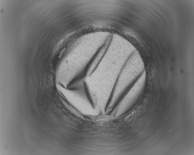 X0000067910776200605111942