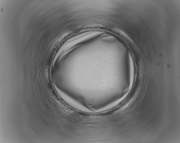 X0000067910777200605111942