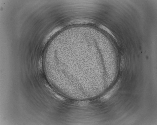 X0000067910778200605111942