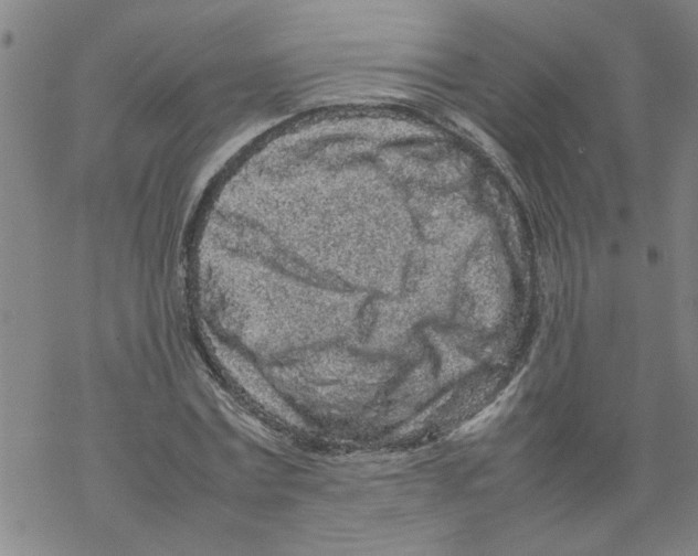 X0000067910779200605111942