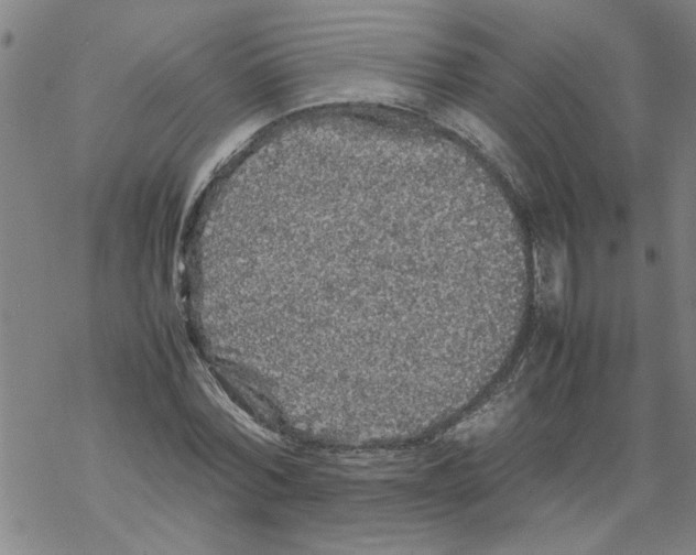 X0000067910780200605111942