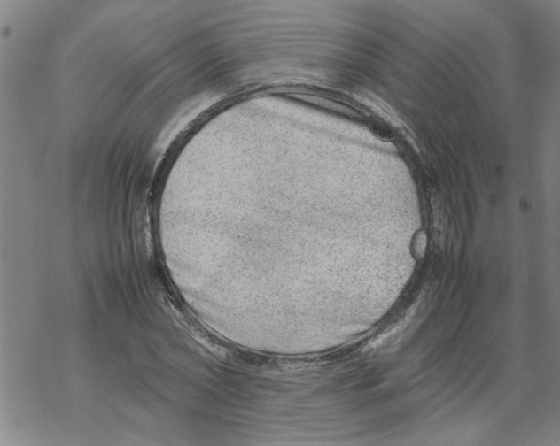 X0000067910782200605111942