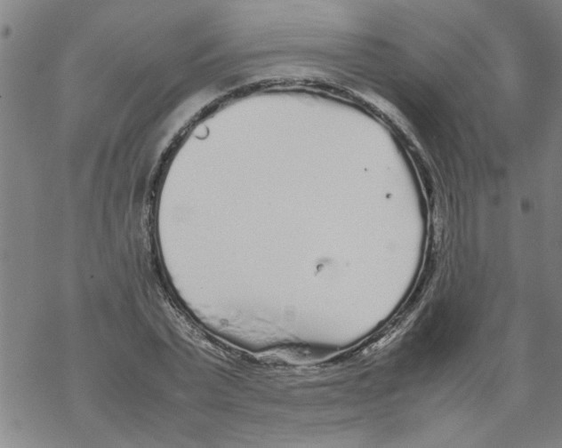 X0000067910783200605111941