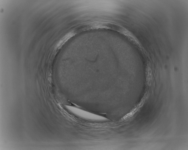 X0000067910785200605111941