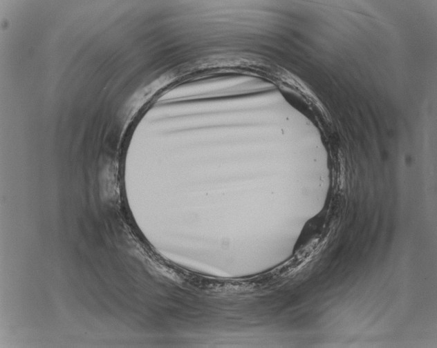 X0000067910786200605111941