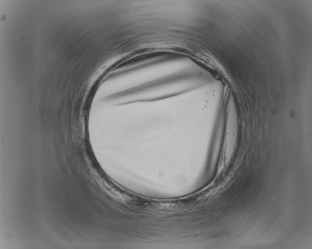 X0000067910787200605111941