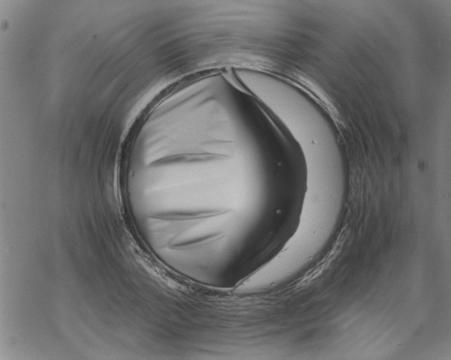 X0000067910788200605111941