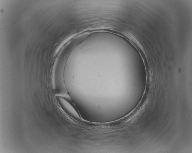 X0000067910789200605111941