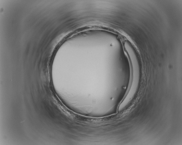 X0000067910791200605111941