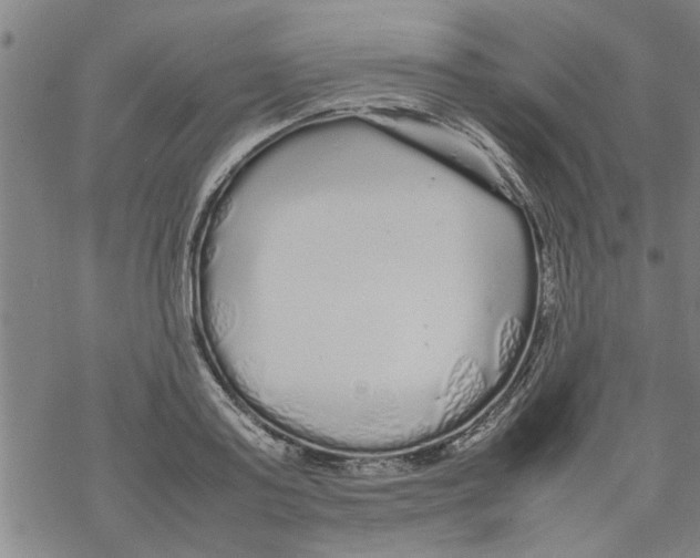 X0000067910795200605111941