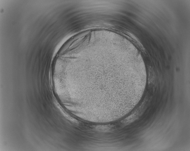 X0000067910796200605111941