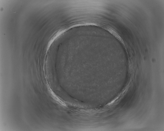 X0000067910797200605111941