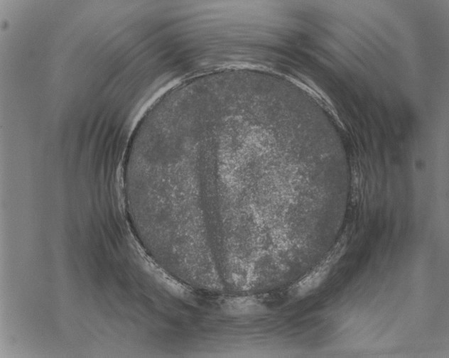 X0000067910798200605111941