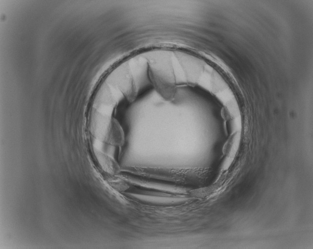 X0000067910799200605111941