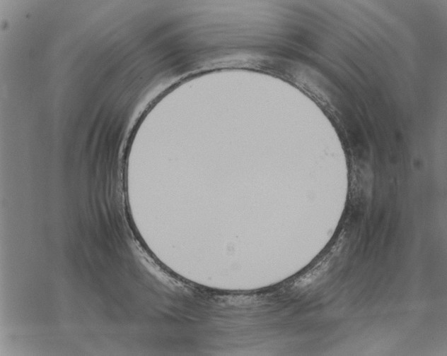 X0000067910800200605111941