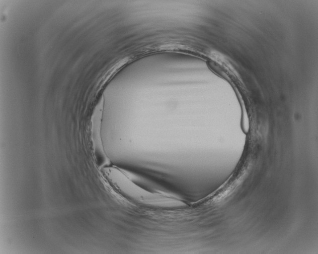 X0000067910801200605111941