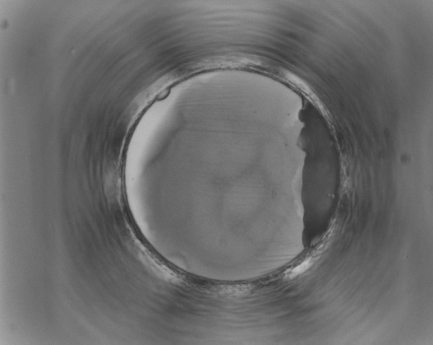 X0000067910802200605111941