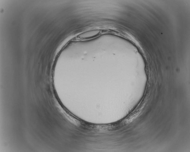 X0000067910803200605111941