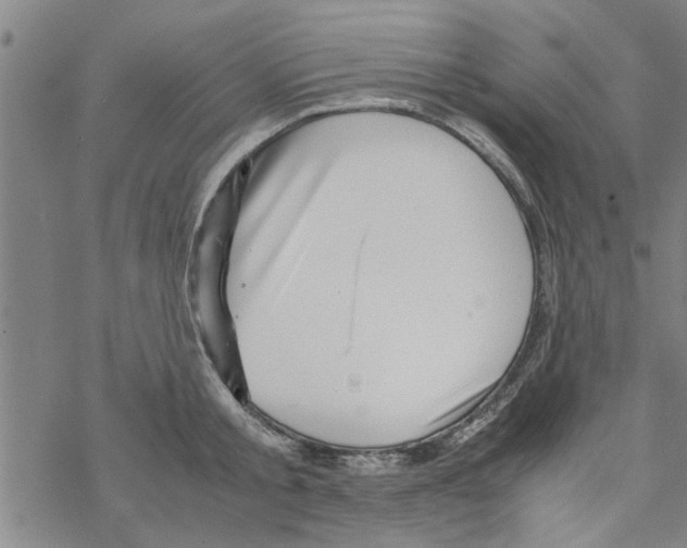 X0000067910805200605111941