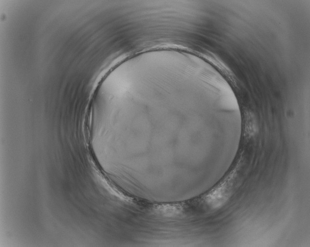 X0000067910806200605111941