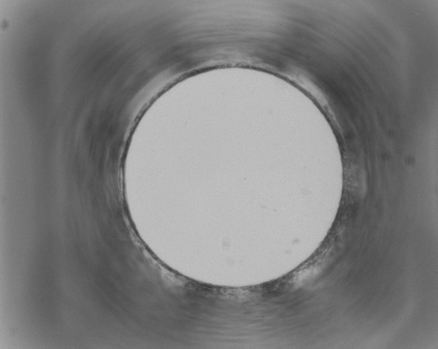 X0000067910807200605111941