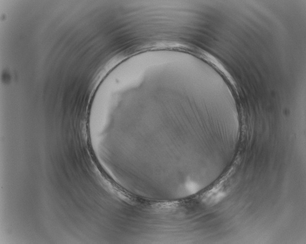 X0000067910810200605111941