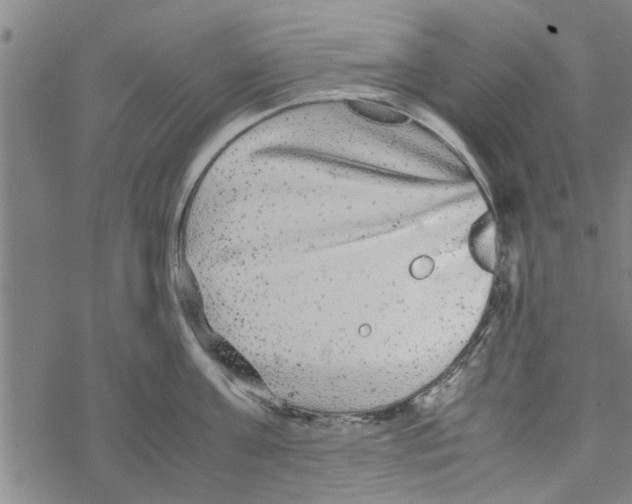 X0000067910811200605111941