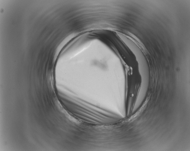 X0000067910812200605111941