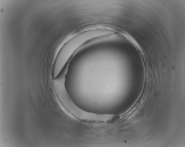 X0000067910813200605111941