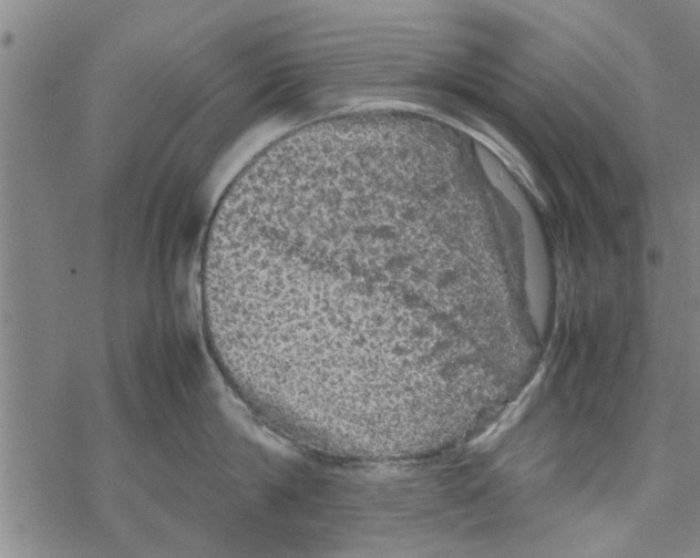 X0000067910814200605111941