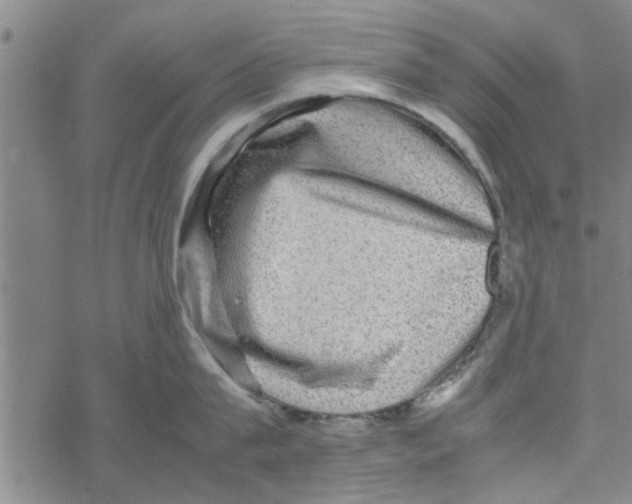 X0000067910815200605111941