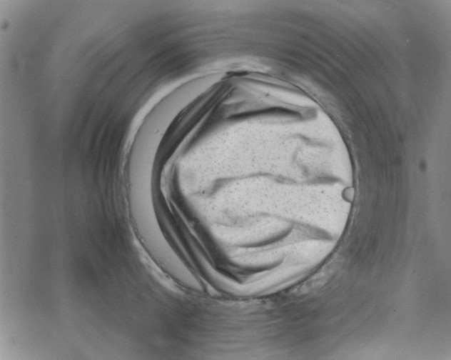 X0000067910816200605111941