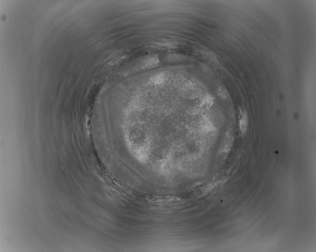 X0000067910819200605111940