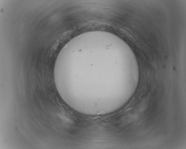 X0000067910820200605111940