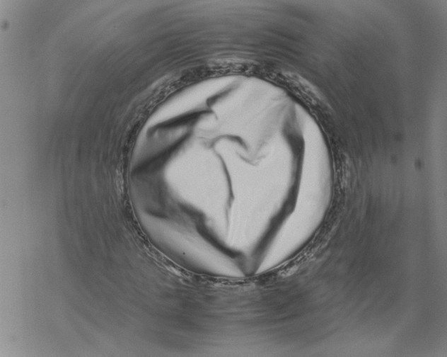 X0000067910821200605111940