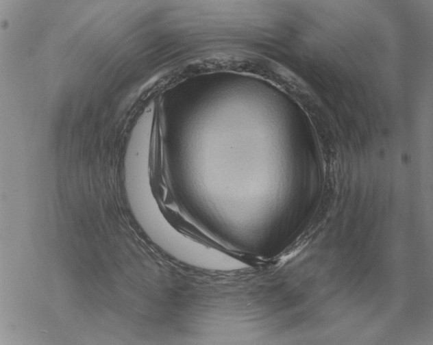 X0000067910822200605111940