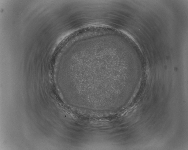 X0000067910823200605111940