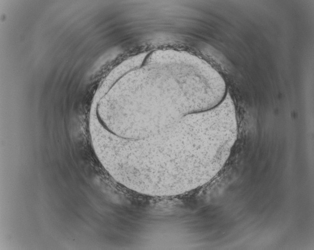 X0000067910824200605111940