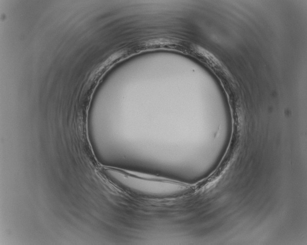 X0000067910825200605111940