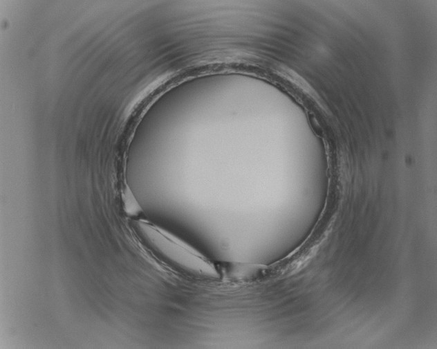 X0000067910826200605111940