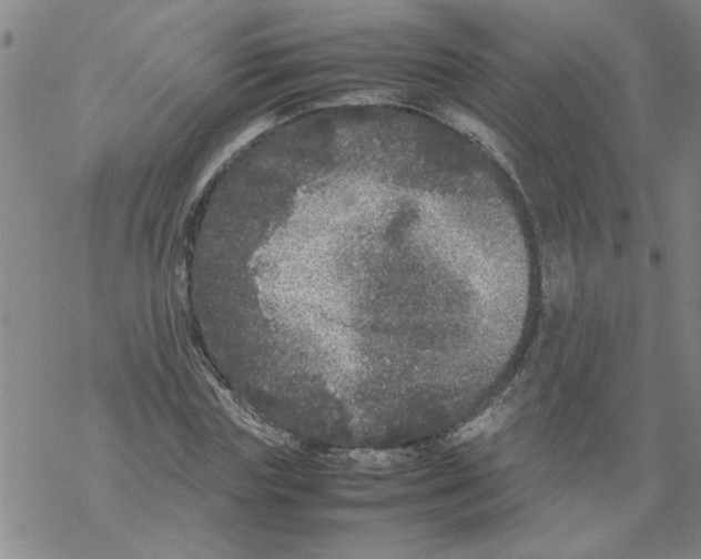 X0000067910827200605111940