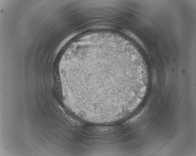 X0000067910829200605111940