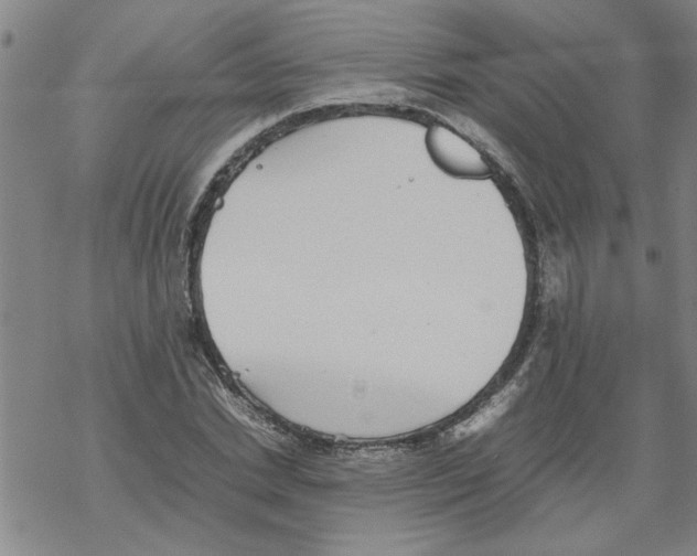 X0000067910830200605111940