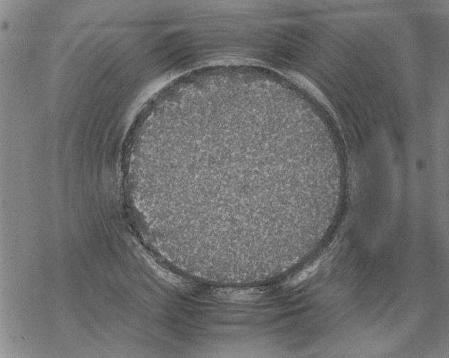 X0000067910831200605111940