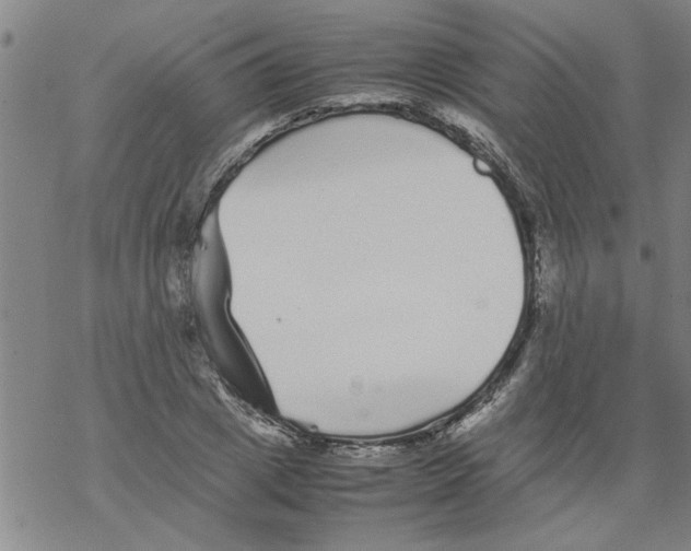 X0000067910833200605111940